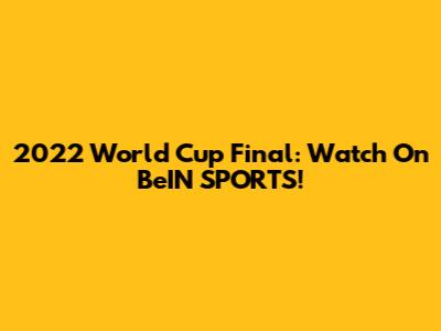 2022 World Cup Final: Watch On BeIN SPORTS!