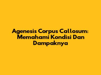 Agenesis Corpus Callosum: Memahami Kondisi Dan Dampaknya