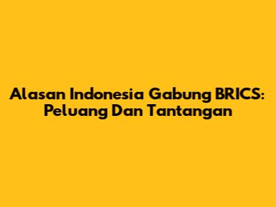 Alasan Indonesia Gabung BRICS: Peluang Dan Tantangan