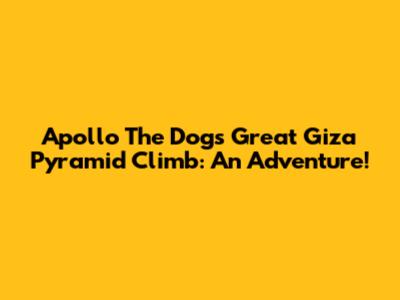 Apollo The Dog's Great Giza Pyramid Climb: An Adventure!