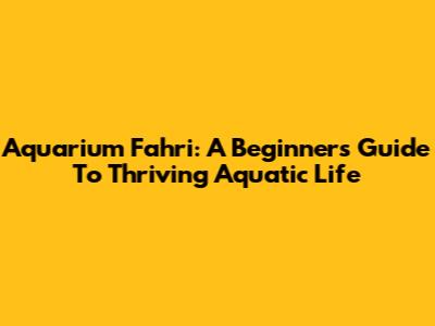 Aquarium Fahri: A Beginner's Guide To Thriving Aquatic Life
