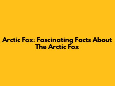 Arctic Fox: Fascinating Facts About The Arctic Fox