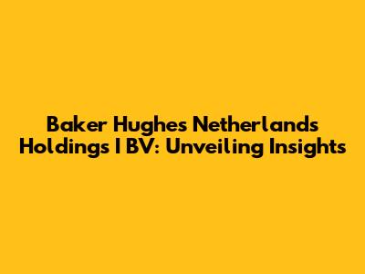 Baker Hughes Netherlands Holdings I BV: Unveiling Insights
