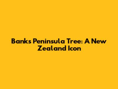 Banks Peninsula Tree: A New Zealand Icon