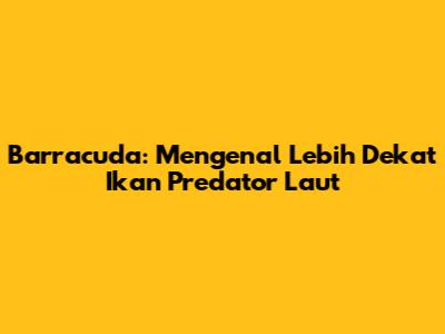 Barracuda: Mengenal Lebih Dekat Ikan Predator Laut
