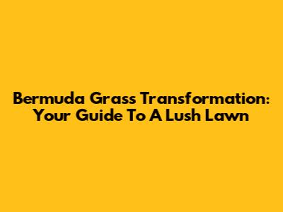 Bermuda Grass Transformation: Your Guide To A Lush Lawn