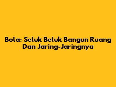 Bola: Seluk Beluk Bangun Ruang Dan Jaring-Jaringnya