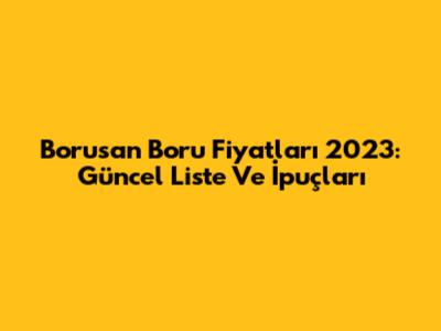 Borusan Boru Fiyatları 2023: Güncel Liste Ve İpuçları
