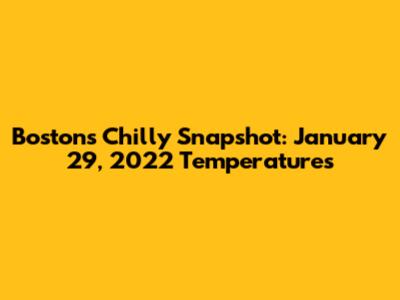 Boston's Chilly Snapshot: January 29, 2022 Temperatures