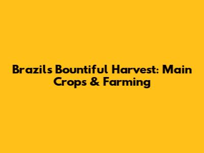 Brazil's Bountiful Harvest: Main Crops & Farming