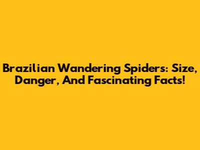 Brazilian Wandering Spiders: Size, Danger, And Fascinating Facts!