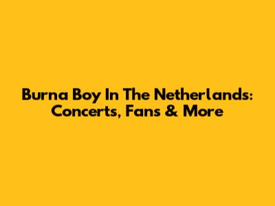 Burna Boy In The Netherlands: Concerts, Fans & More