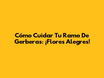 Cómo Cuidar Tu Ramo De Gerberas: ¡Flores Alegres!