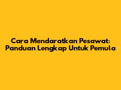 Cara Mendaratkan Pesawat: Panduan Lengkap Untuk Pemula