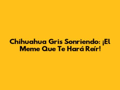 Chihuahua Gris Sonriendo: ¡El Meme Que Te Hará Reír!