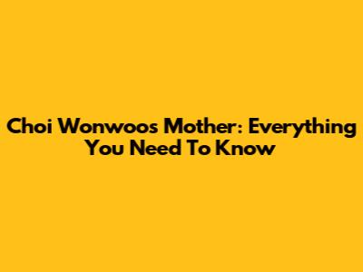 Choi Wonwoo's Mother: Everything You Need To Know