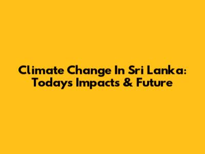 Climate Change In Sri Lanka: Today's Impacts & Future
