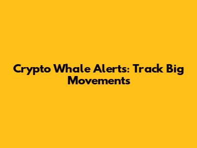 Crypto Whale Alerts: Track Big Movements