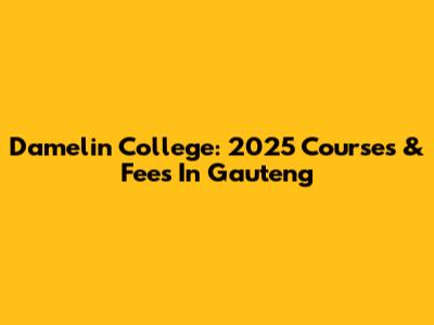 Damelin College: 2025 Courses & Fees In Gauteng