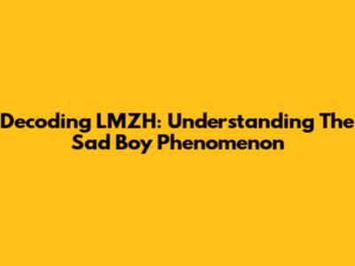 Decoding LMZH: Understanding The Sad Boy Phenomenon