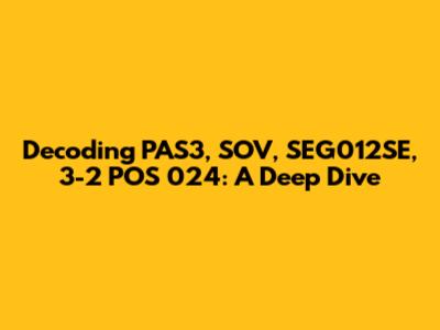 Decoding PAS3, SOV, SEG012SE, 3-2 POS 024: A Deep Dive