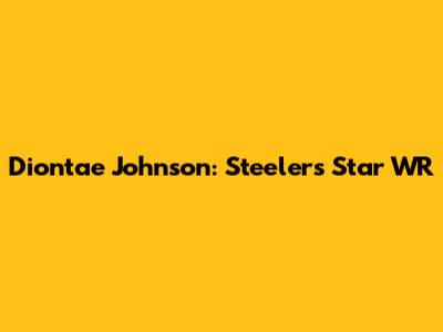 Diontae Johnson: Steelers Star WR