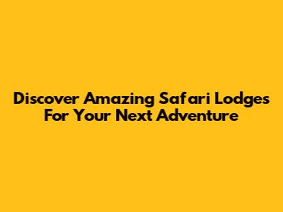 Discover Amazing Safari Lodges For Your Next Adventure