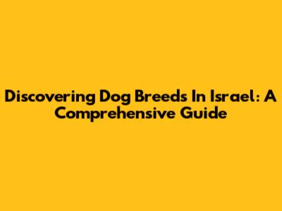 Discovering Dog Breeds In Israel: A Comprehensive Guide