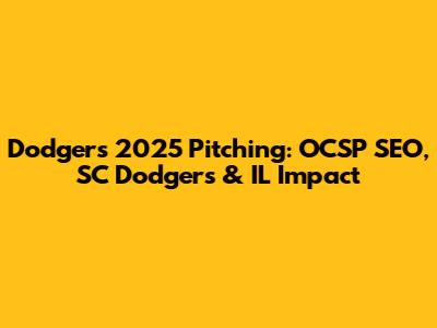 Dodgers' 2025 Pitching: OCSP SEO, SC Dodgers & IL Impact