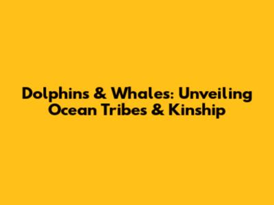 Dolphins & Whales: Unveiling Ocean Tribes & Kinship