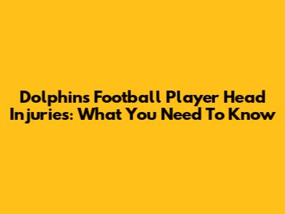 Dolphins Football Player Head Injuries: What You Need To Know