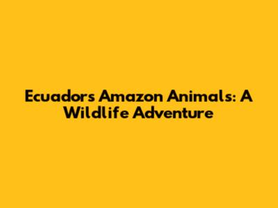 Ecuador's Amazon Animals: A Wildlife Adventure