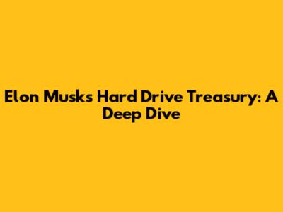 Elon Musk's Hard Drive Treasury: A Deep Dive