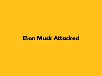 Elon Musk Attacked