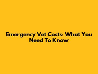 Emergency Vet Costs: What You Need To Know