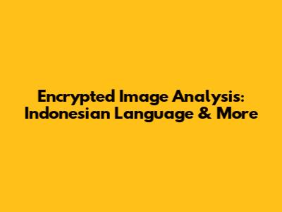 Encrypted Image Analysis: Indonesian Language & More