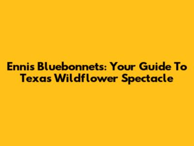 Ennis Bluebonnets: Your Guide To Texas' Wildflower Spectacle