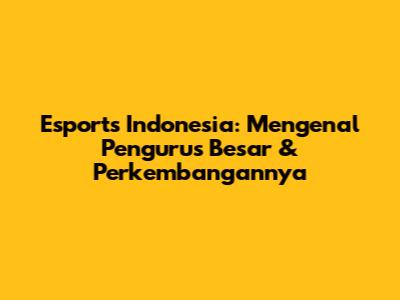 Esports Indonesia: Mengenal Pengurus Besar & Perkembangannya