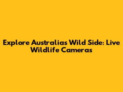 Explore Australia's Wild Side: Live Wildlife Cameras