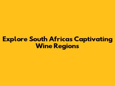 Explore South Africa's Captivating Wine Regions