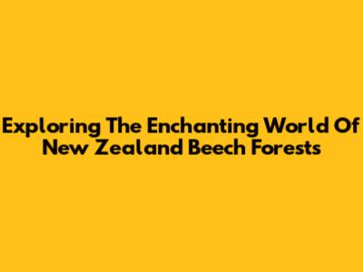 Exploring The Enchanting World Of New Zealand Beech Forests