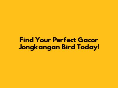 Find Your Perfect Gacor Jongkangan Bird Today!