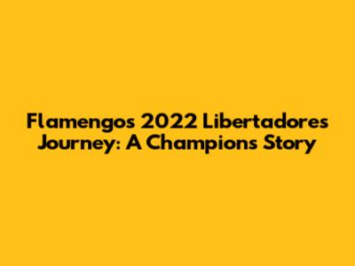 Flamengo's 2022 Libertadores Journey: A Champion's Story