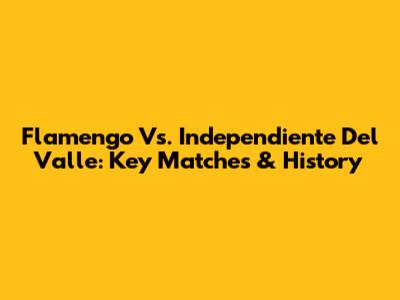 Flamengo Vs. Independiente Del Valle: Key Matches & History