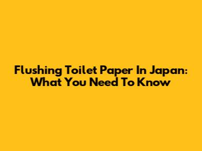 Flushing Toilet Paper In Japan: What You Need To Know