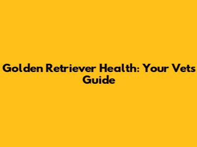 Golden Retriever Health: Your Vet's Guide