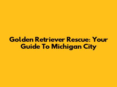 Golden Retriever Rescue: Your Guide To Michigan City