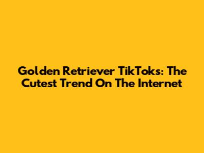 Golden Retriever TikToks: The Cutest Trend On The Internet