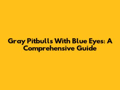 Gray Pitbulls With Blue Eyes: A Comprehensive Guide