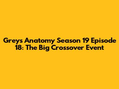 Grey's Anatomy Season 19 Episode 18: The Big Crossover Event
